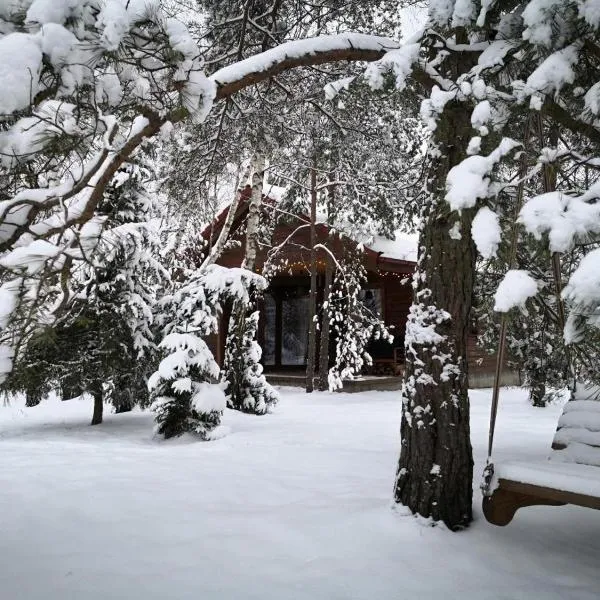 Beržų namelis - Birch cabin, hotel v mestu Kučiūnai