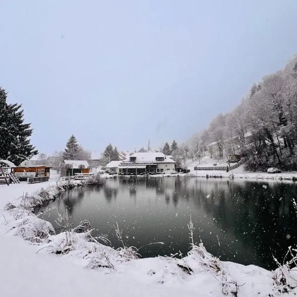 Kozjanski dvor, Hotel in Podčetrtek