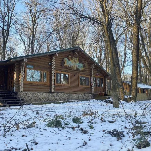 Hotel Doi Haiduci、オルゲイのホテル