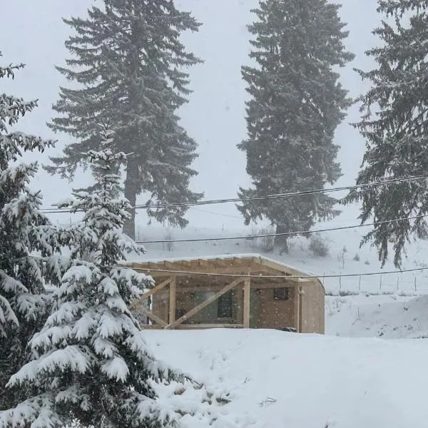 Virajlux, hotell sihtkohas Dîmbovicioara