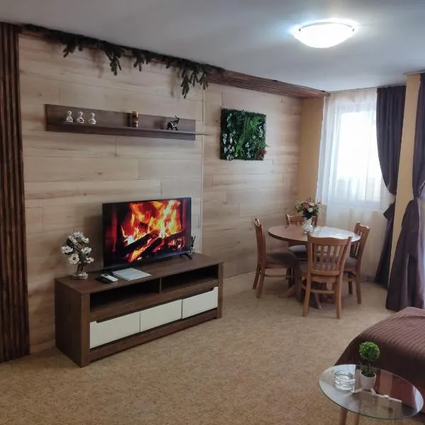 Апартамент почивка в планината, hotel in Pamporovo