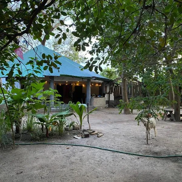 Bush Baby Compound, хотел в Gunjur