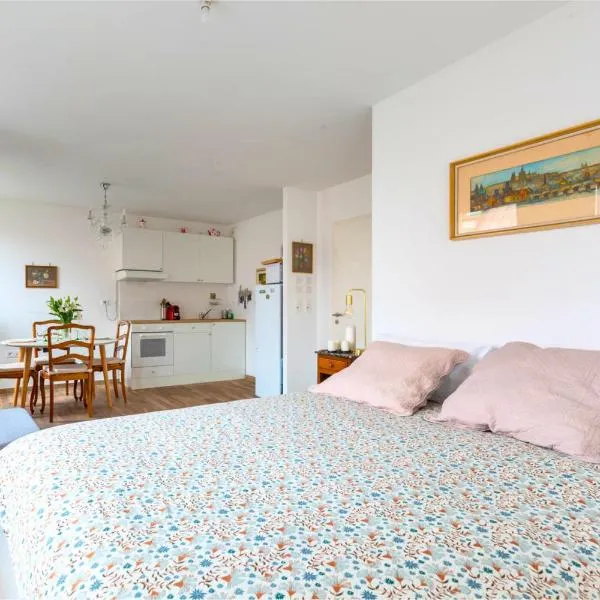 Nid calme central Petite France, hotel in Straatsburg