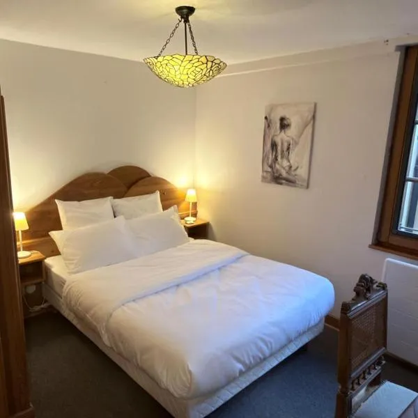 Hôtel Le Sarment d'Or, hotel en Riquewihr