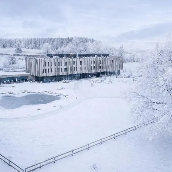 Amenity Hotel & Resort Česká Kanada，位于新比斯特日采的酒店