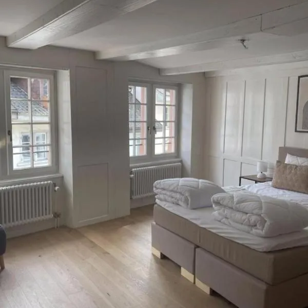 The R Apartment Bodensee - Old Town, hotel v destinaci Schaffhausen