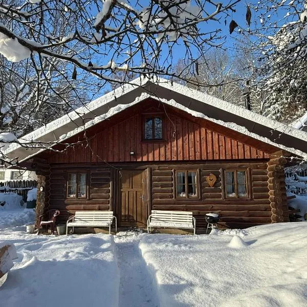 SRUB pod třešněmi - Cherry Trees Cabin, ξενοδοχείο σε Vrchlabí