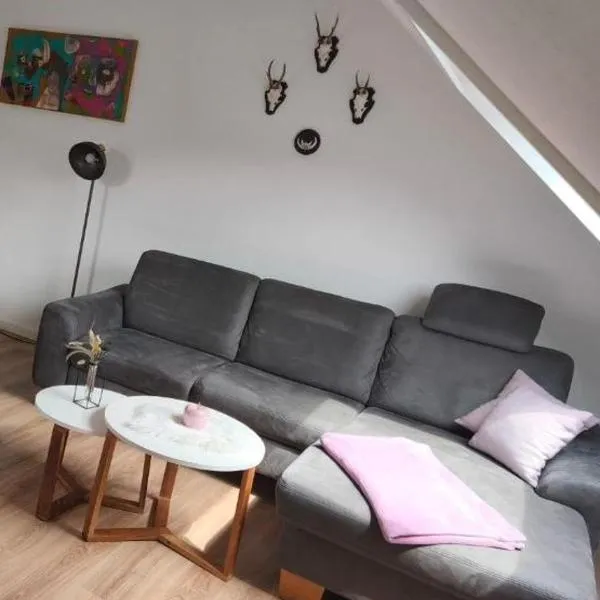 Winterberg Centrum mit privaten Ski Keller, hotel in Winterberg