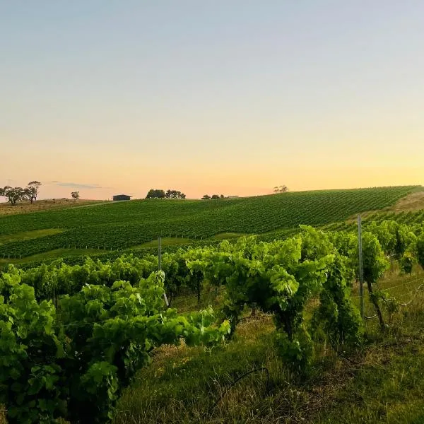 Turners Vineyard Motel, hotel em Orange