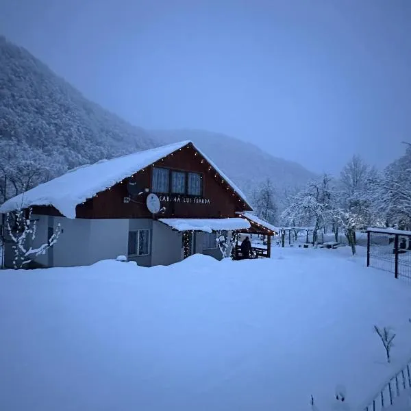 Cabana lui Foardă, hotel em Motru Sec