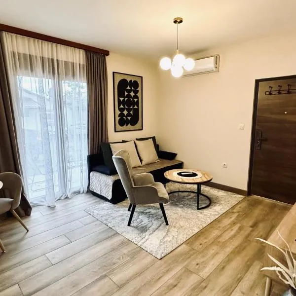 Central Station Apartments, Hotel in Podgorica