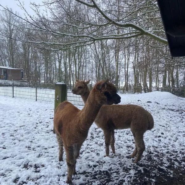 Grutsk op 12, hotel di Drachten
