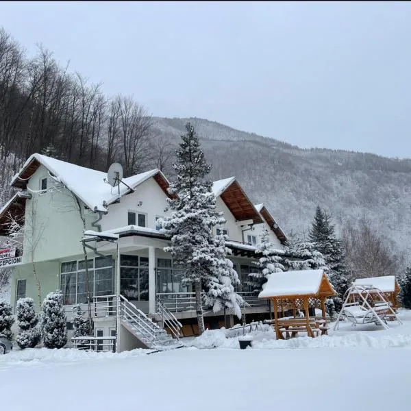 Hotel Gryka, hotel di Peje