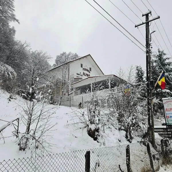 말라이아에 위치한 호텔 Pensiunea Alpina