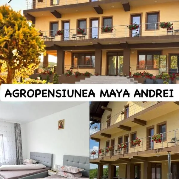 Agropensiunea Maya-Andrei, hotel em Novaci-Străini