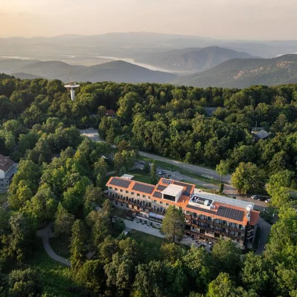 Cardoner Hotel és Konferenciaközpont, готель у місті Добоґовкив