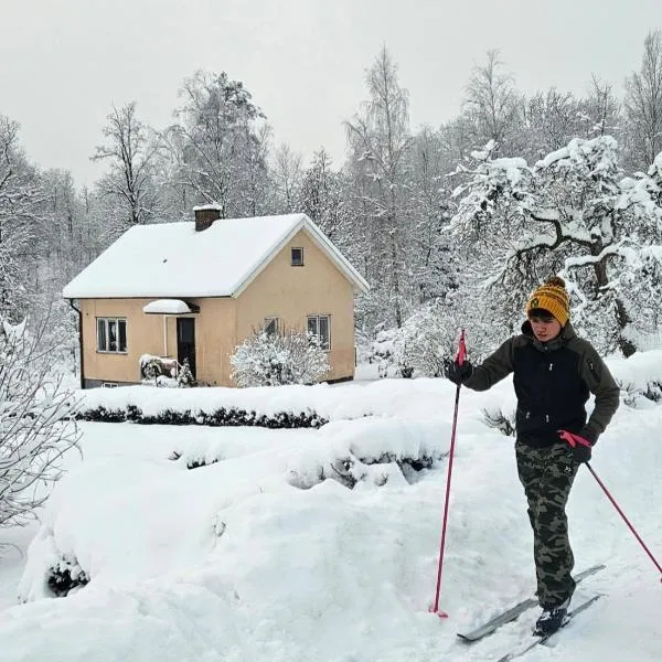 Little Cabin, hotel din Gnosjö