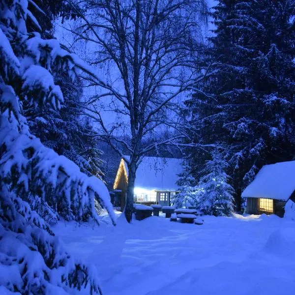 Casuta dintre brazi, hotel en Râșca