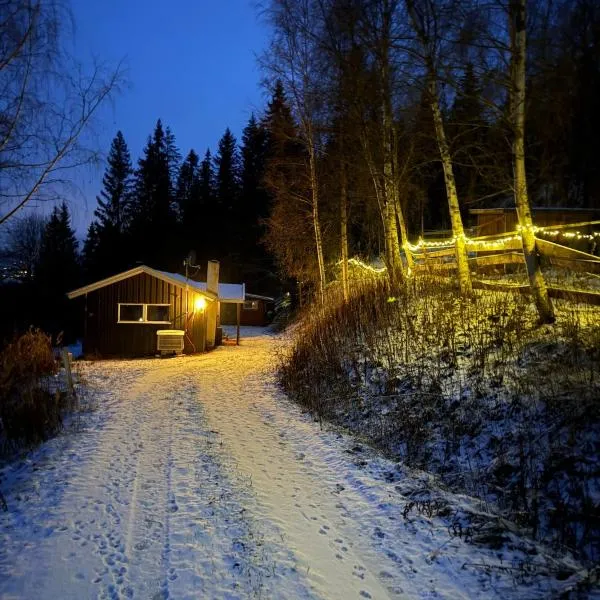 Lite hus i Vestre Slidre, hotel in Slidre