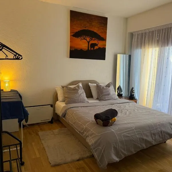 chambre chez habitant pied du lac, hotel a Ginevra