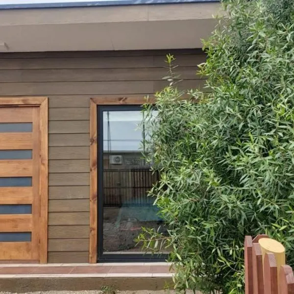 Cabaña Roquin Patagonia，小智利的飯店