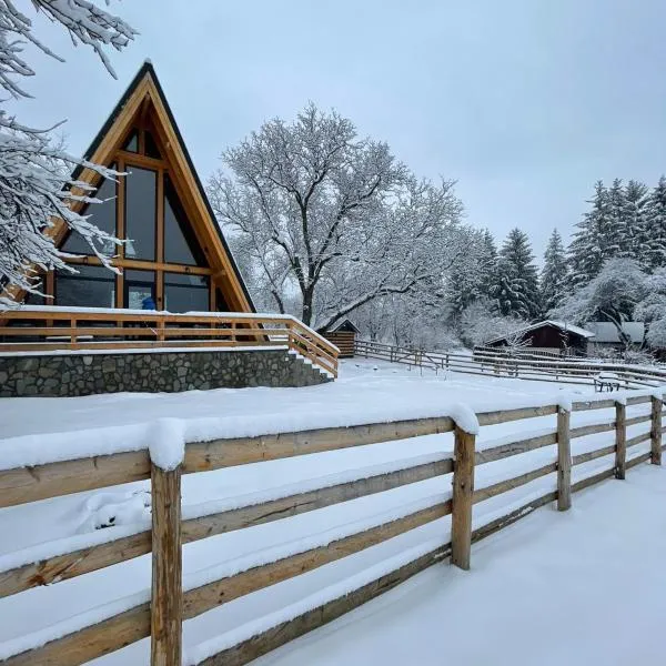 Old Nut Cabin, hotelli kohteessa Teşila