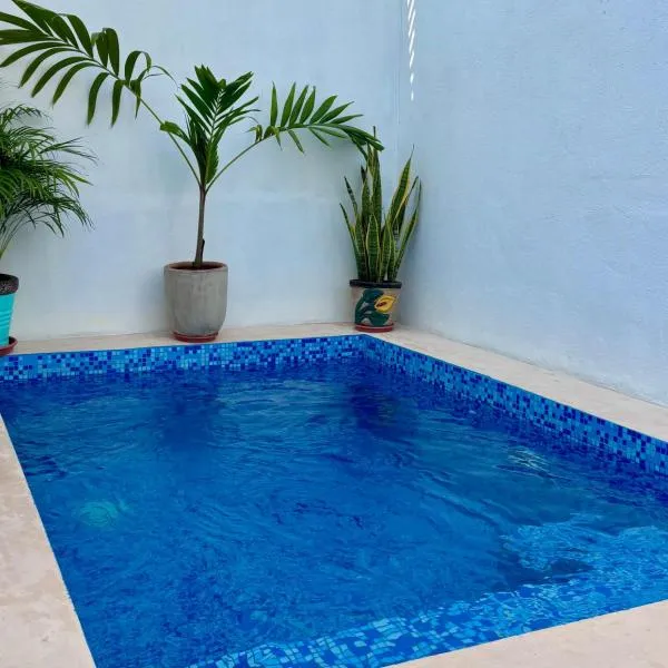 EXCELENTE ALBERCA PRIVADA EN RESIDENCIAL PRIVADO, GYM, asador, hotel en Ciudad Valles