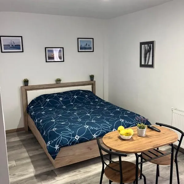 Garsoniera Goldis, hotel u gradu 'Arad'