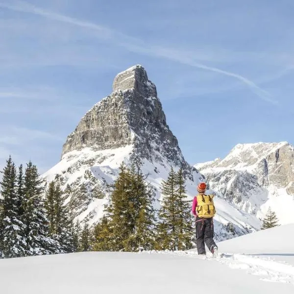 Snowfun Unterkunft Bergheimat - Ganz einfach ganz unkompliziert ganz relaxd, готель у місті Linthal