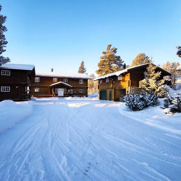 Mountain Lodge - Midtgardstunet، فندق في رينغيبو