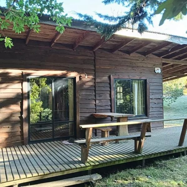 Lago Ranco में, होटल Cabañas Río Iculpe