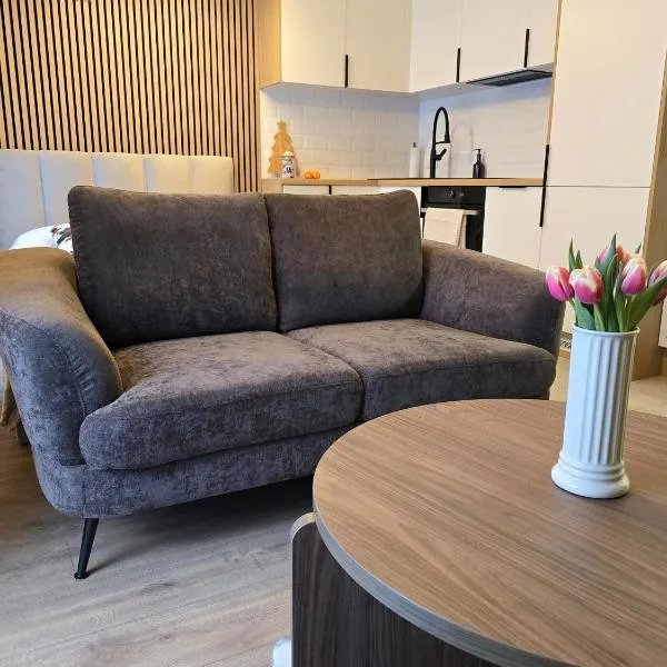 Modern Studio Szałasa, hotel v Varšavi