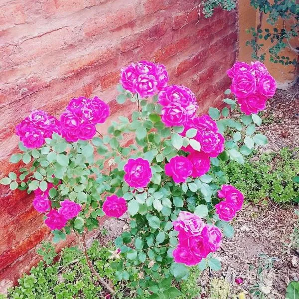 Dpto BBB, hótel í Zapala