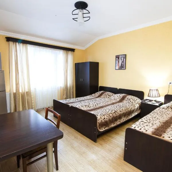 Nick&David INN, hotel in Borjomi