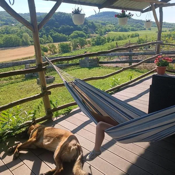 Viesnīca Csendàr hàz pilsētā Diszel