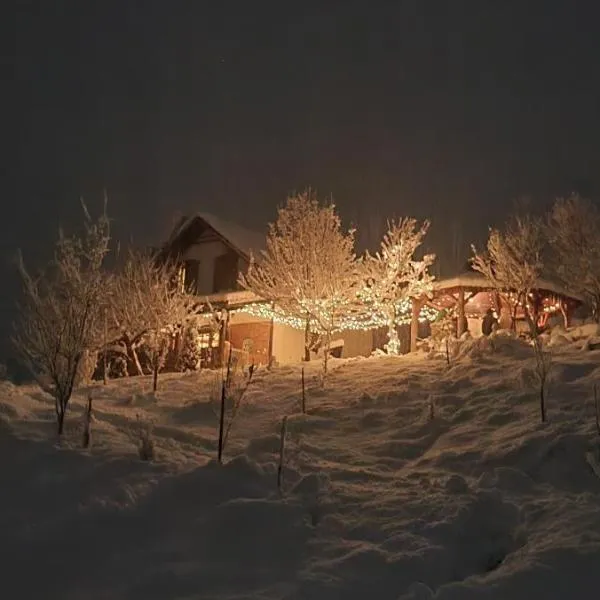Cuibul cu Trufe, hotel in Feldru