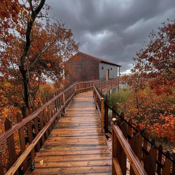 اكواخ سفاري السياحية, hotel a Ajlun