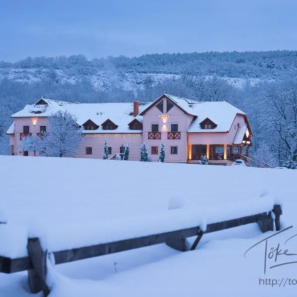 Borhotel Sziluett Farkasmály, hotel in Gyöngyös