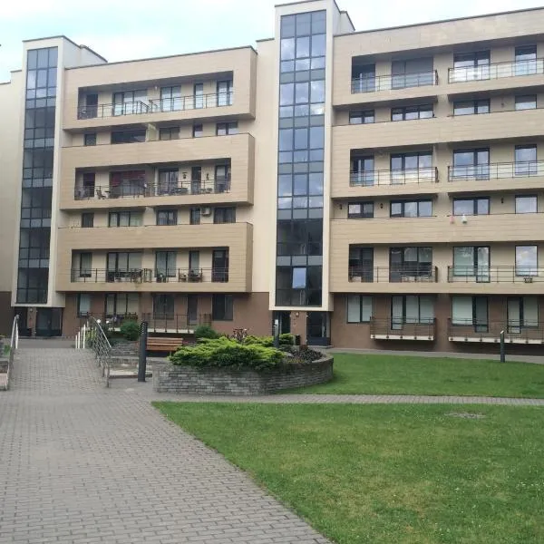 Luxury Apartment, hotel in Druskininkai