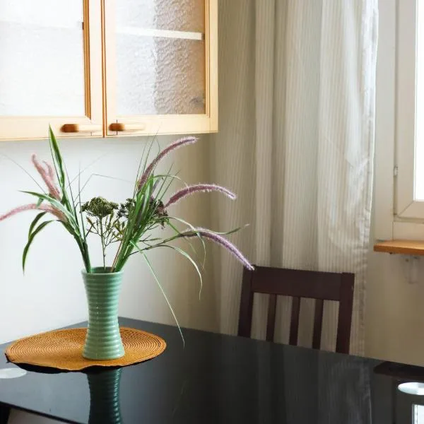 LibO-apartment, Saarijärvi 17 with free parking, отель в Куопио