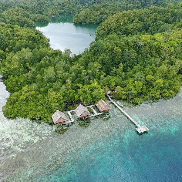 Raja Ampat Holidays, hotel en Besir