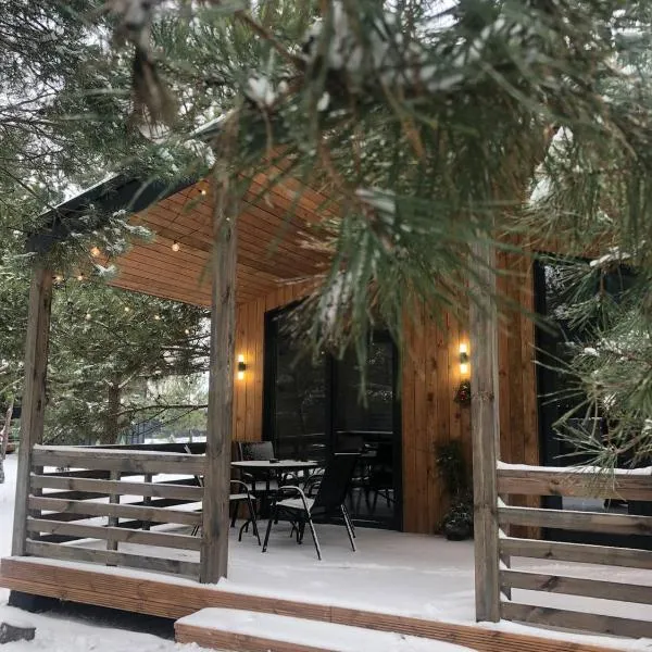 Equi Lis - будиночки для відпочинку, hotel i Yasnogorodka