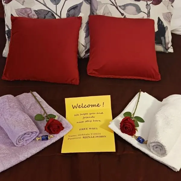 FAMILY DELUXE - SLEEP WELL! Very quiet night - Queensize good quality twinbed and second bedroom 2 single beds- Spacious 60m2 - supermarket Prisma and restaurang only 200m - ski rental and trail - tea and coffee - towels, hotelli Savonlinnassa