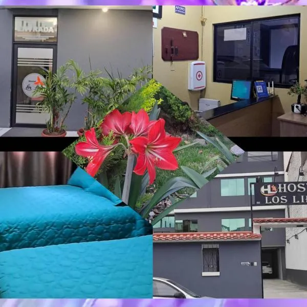 Hostal Los Lirios, hotel u gradu Loja