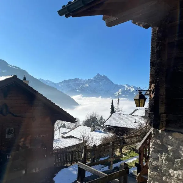Gryon में, होटल Chalet Les Marmouzets