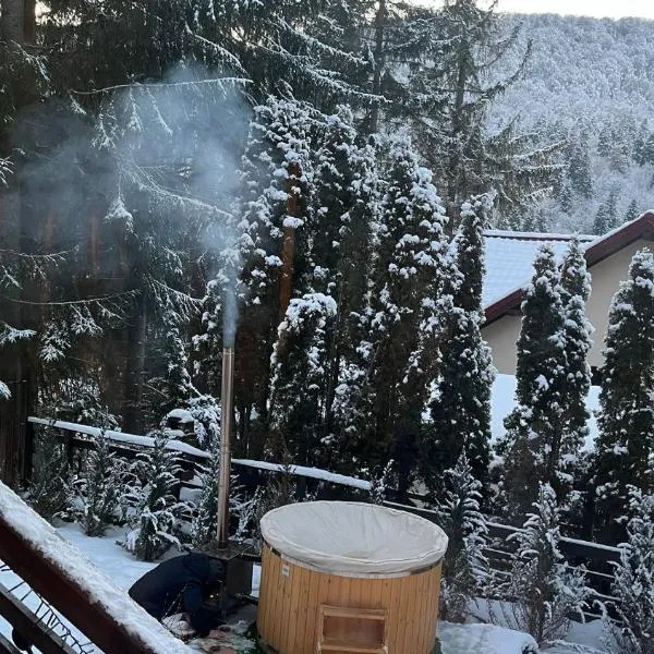 Vila Plai Predeal, готель у місті Предял