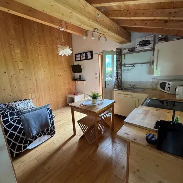 petit chalet, hotel in Chamonix