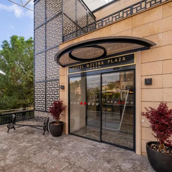ASA Molina Plaza, hotel en Molina de Segura