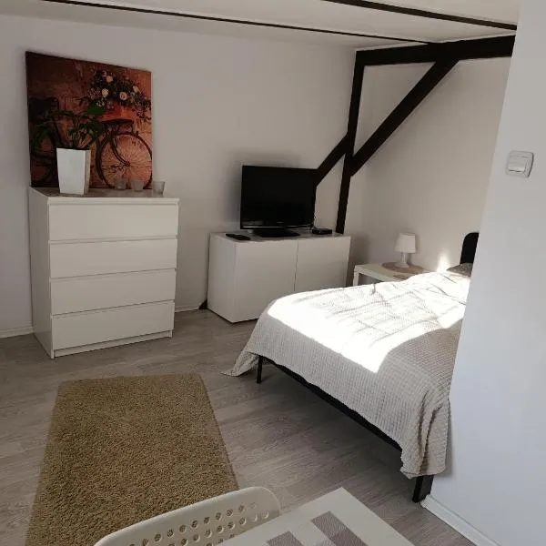 Viesnīca Apartament Mariacka Bidgoščā