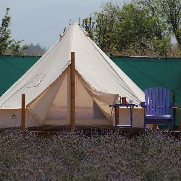 Glamping Rincón de Lavanda,位于Texcoco de Mora的酒店